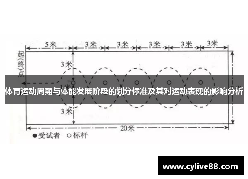 体育运动周期与体能发展阶段的划分标准及其对运动表现的影响分析